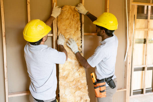 Best Blown-in Insulation  in USA